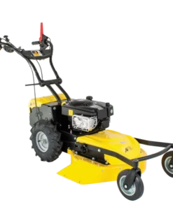 Roques & Lecoeur RL210B Tondeuse Débroussailleuse Thermique 53 cm Briggs & Stratton